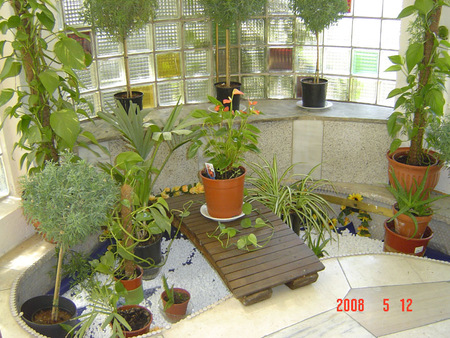 Partytreff Maxis-Swing, Mörfelden-Walldorf