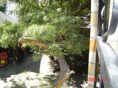 Partytreff Maxis-Swing, Mörfelden-Walldorf