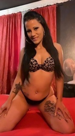 Stella *AV LADY*, Frankfurt am Main