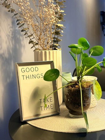 Sonja Roth, Darmstadt