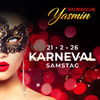 Karnevalsparty