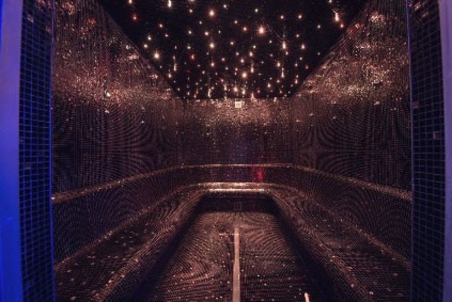 Foto von Stark wie ein Shark!