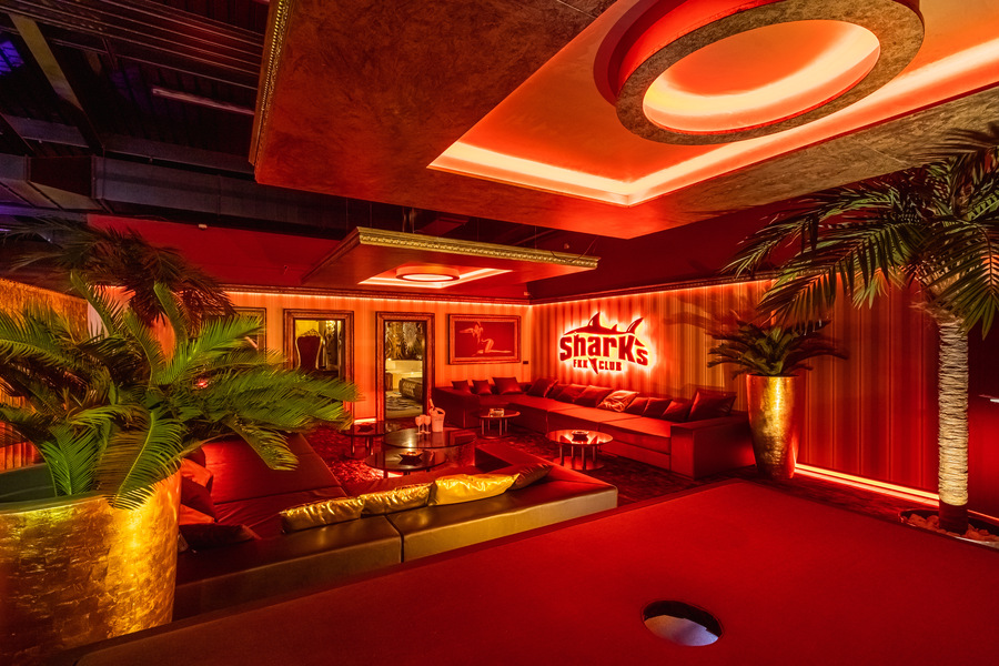 Foto von Stark wie ein Shark!