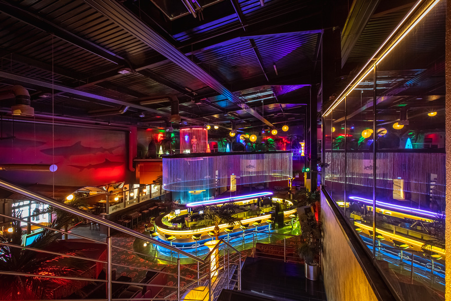 Foto von Stark wie ein Shark!