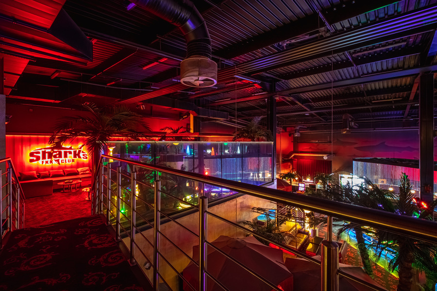 Foto von Stark wie ein Shark!