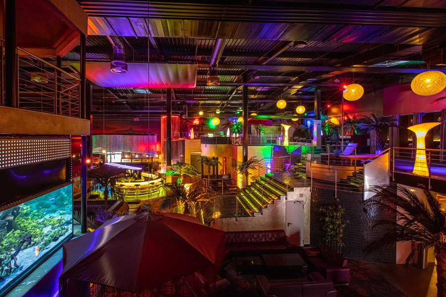 Foto von Stark wie ein Shark!