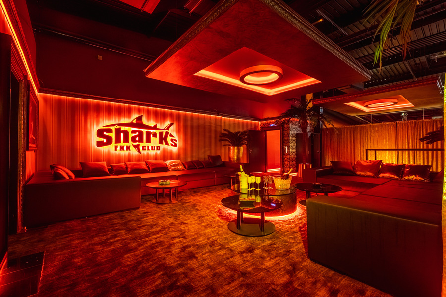 Foto von Stark wie ein Shark!