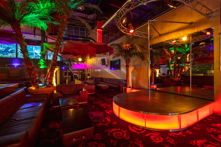 Foto von Stark wie ein Shark!