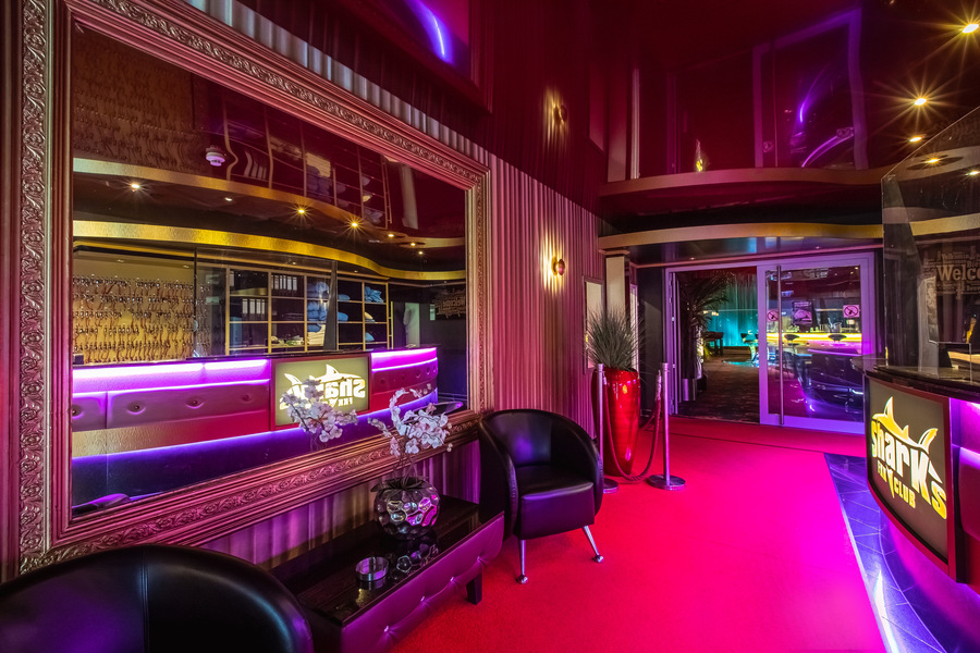 Foto von Stark wie ein Shark!