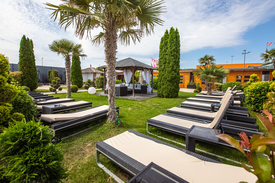 Foto von Stark wie ein Shark!