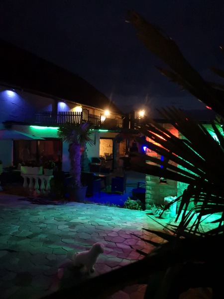 Foto von Tempel Royal, hier ist man König