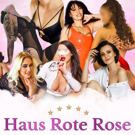 Haus Rote Rose - Klimatisierte Räume, Messel