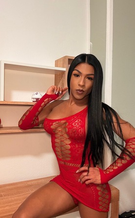 TS Tiffany, Hannover