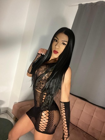 TS Tiffany, Hannover