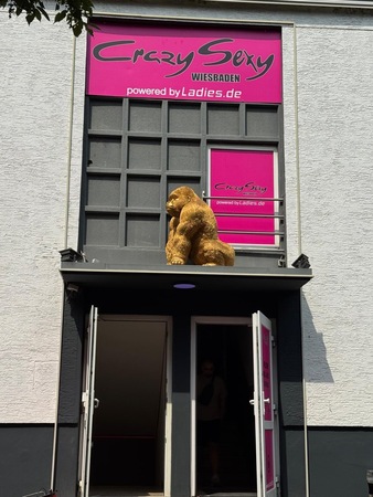 Crazy Sexy - unter neuer Leitung, Wiesbaden