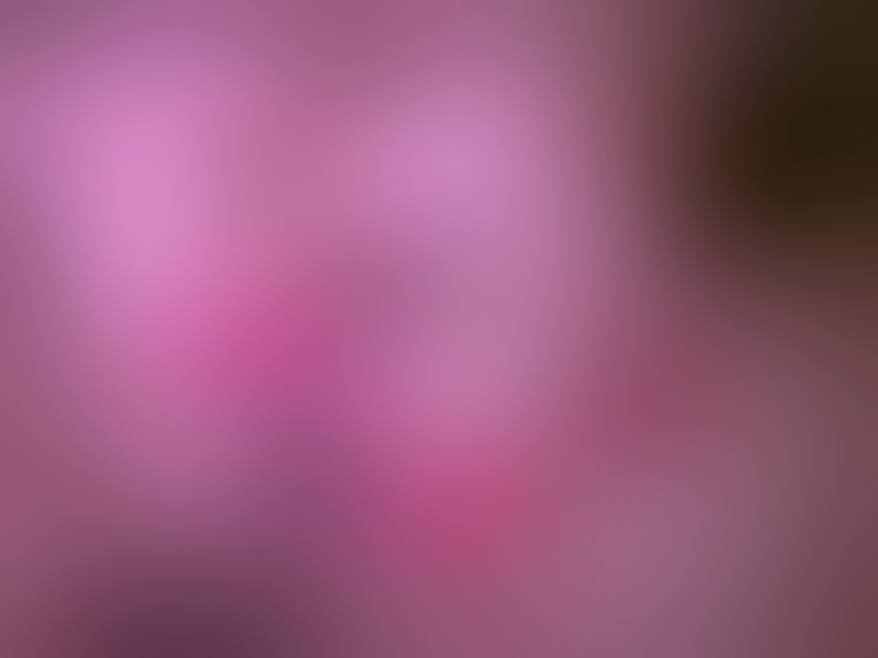 Foto von Türkisch Milf