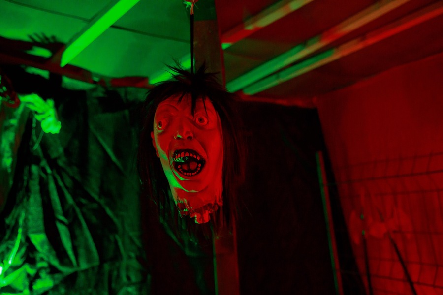 Foto von Das XXL der Gefühle