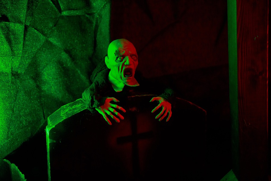 Foto von Das XXL der Gefühle