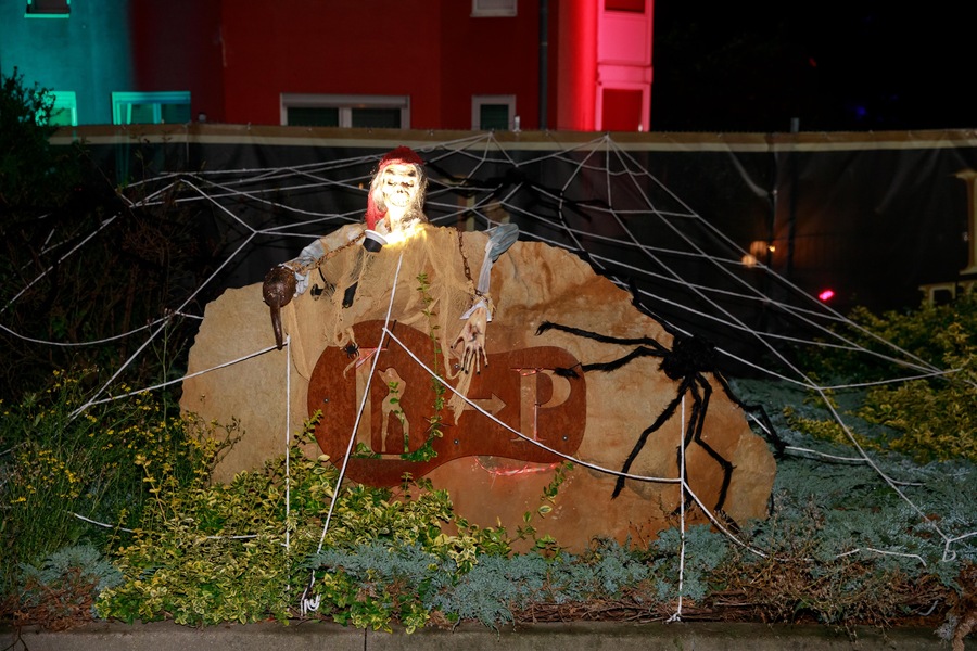 Foto von Das XXL der Gefühle