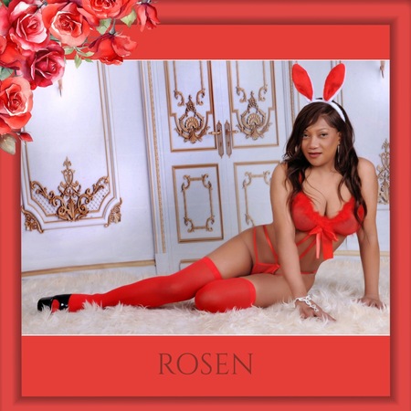 Romy AV, DT & Mehr, Reutlingen