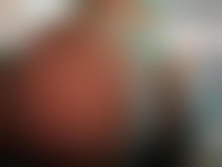 Deutsche Aileen!, Landshut