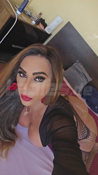 Foto von Ts Bebel Xxl porno Star