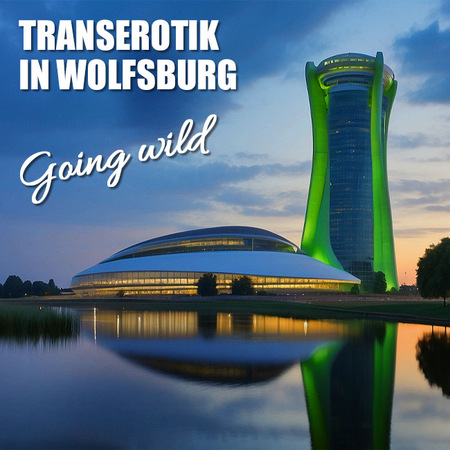 Sex mit Transexuellen in Wolfsburg, Wolfsburg