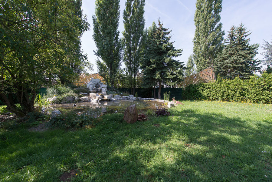 Foto von Das ist Service der Extraklasse!