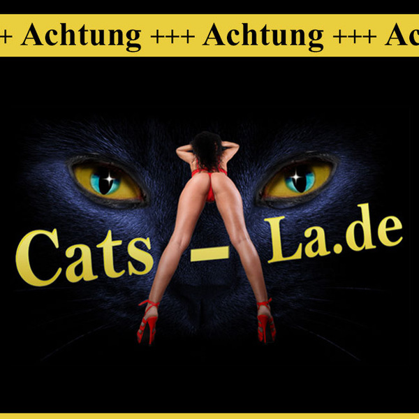 CATS LA, 0171-1794109, Landshut, Ingolstädter Str. 13