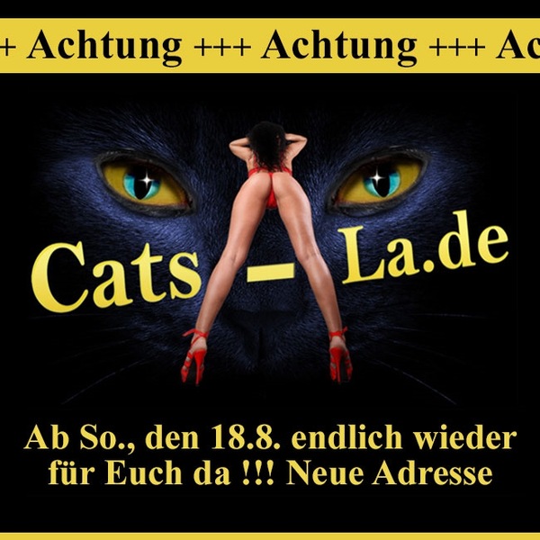 CATS LA - Neuer&ouml;ffnung-  Neue Adresse