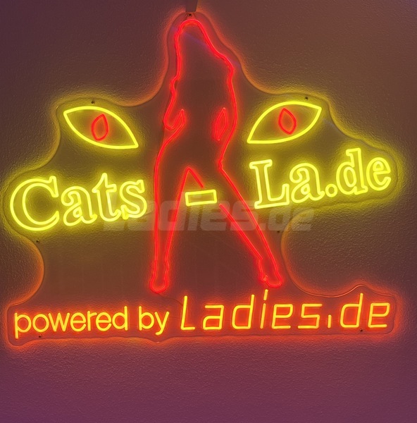 Foto von CATS LA