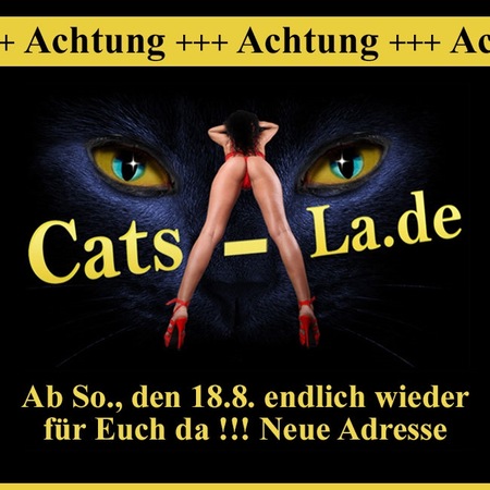 CATS LA - Neueröffnung-  Neue Adresse, Landshut