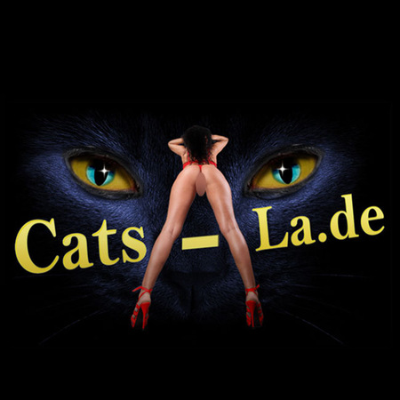 CATS LA, Landshut