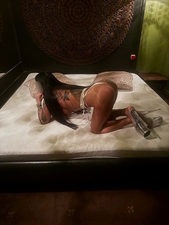 Carla - NEW, Frankfurt am Main