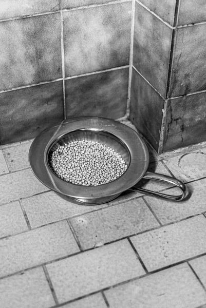 Foto von The Sanctum