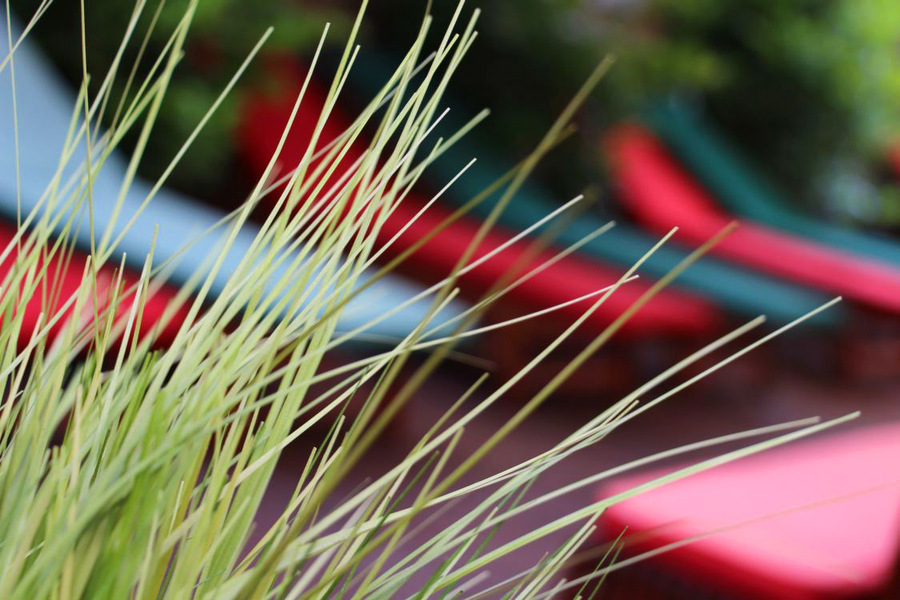 Foto von Lass dich verführen!