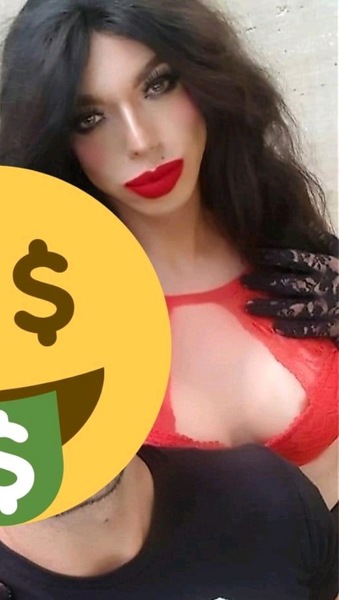 Foto von TS MELLANY ANACONDA mit Klimaanlage