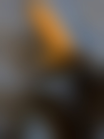 Anais aus Panama - AV Königin!, Bremen