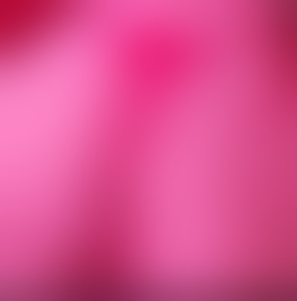 SIMONA - Haus Rose – Hildesheim photo 3