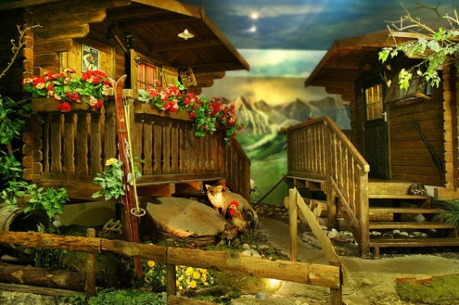 Foto von Sex around the World