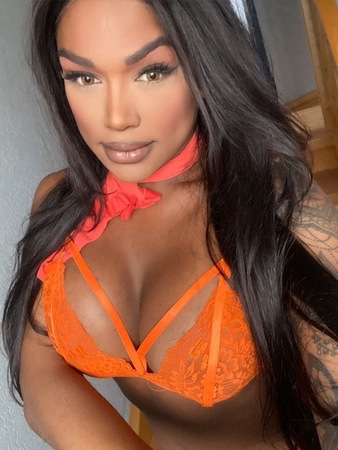 Ts Anaconda XXL, Mannheim