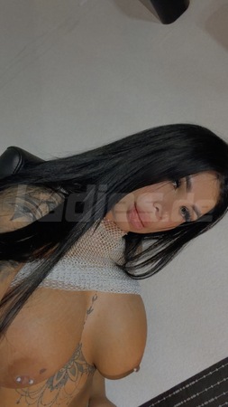 AMELY Gf6, Dresden