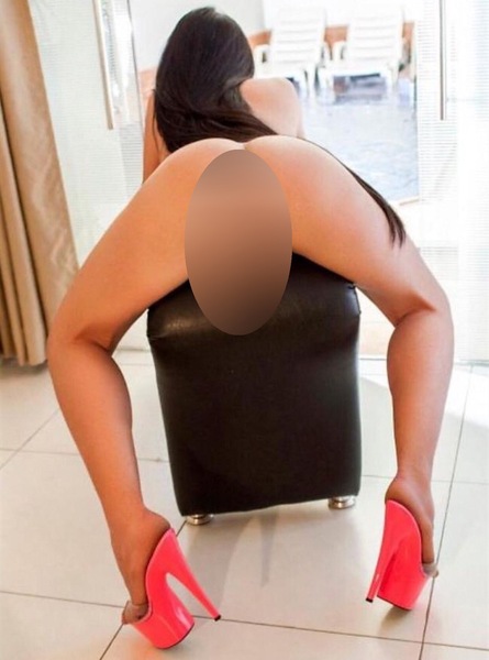 Foto von TS Mellany Anaconda XXL