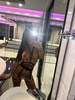 Bad Harzburg - Hobbyhure sucht Taschengeld - Jennifer