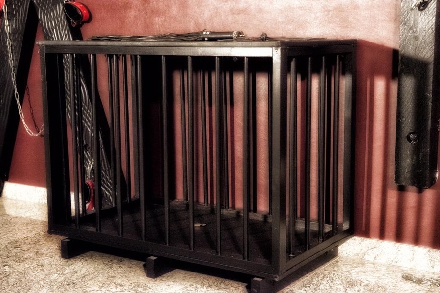 Foto von Traumparadies mit Bar