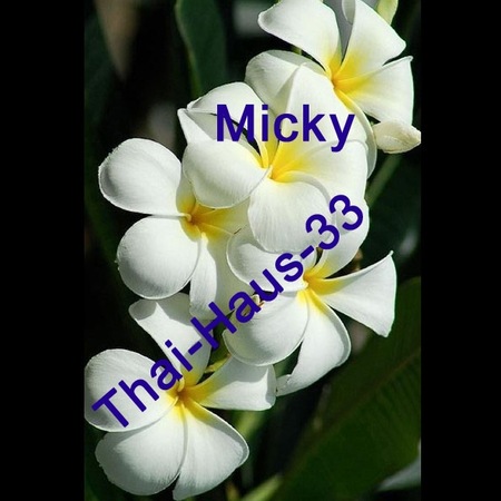 Micky - Thai Haus 33, Warburg