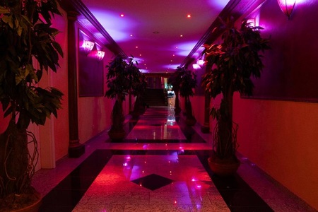 Traumparadies, Köln