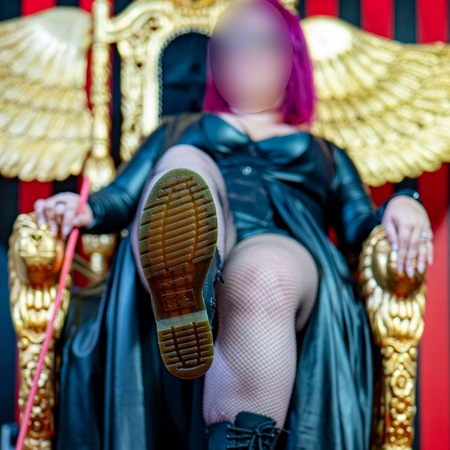 Lady Amalia Rose, Kassel