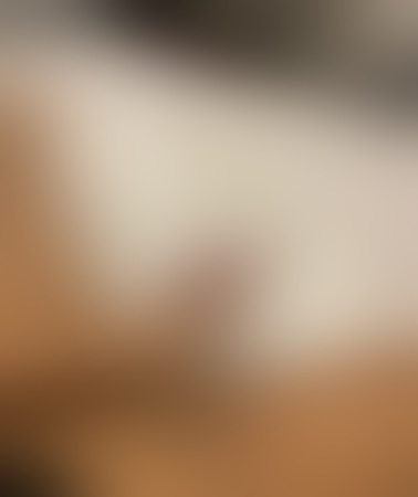 TS Alicie Alencar, Berlin