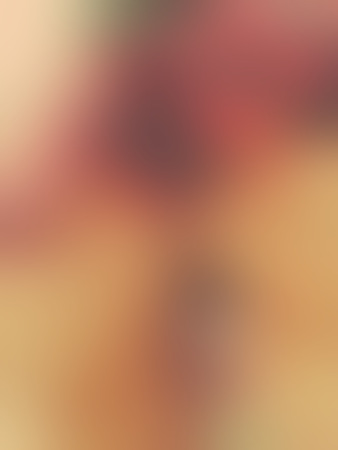 Lisa - Lack und Latex, Halle (Saale)